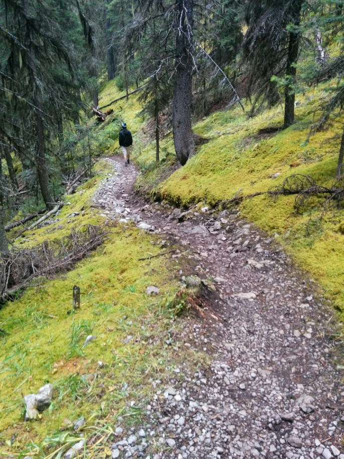 IMG_20160918_144046_1